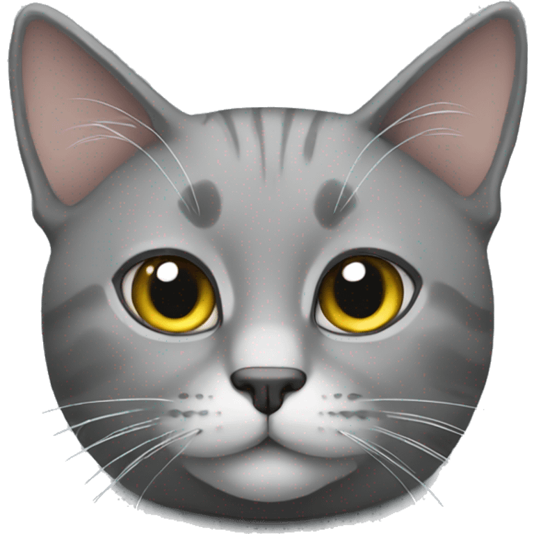 gray cat emoji