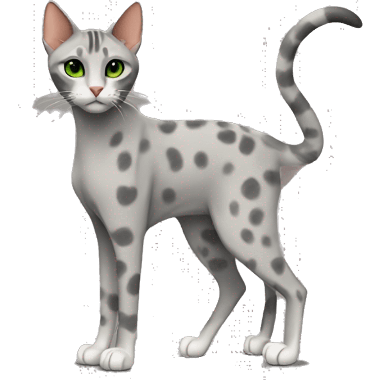 Short-haired oriental cat ,full body , grey coat with spots , green eyes , terracotta nuzzle emoji