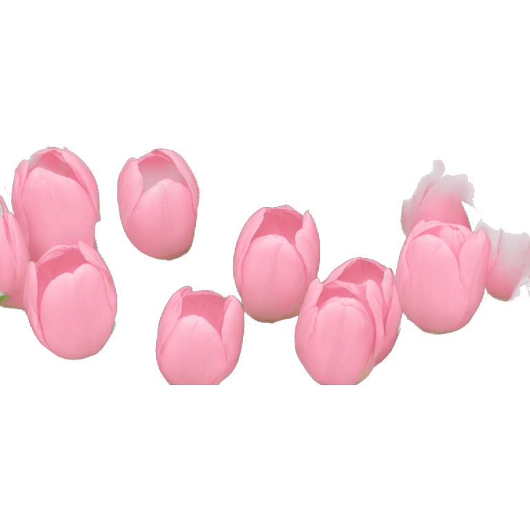 light pink tulips  emoji