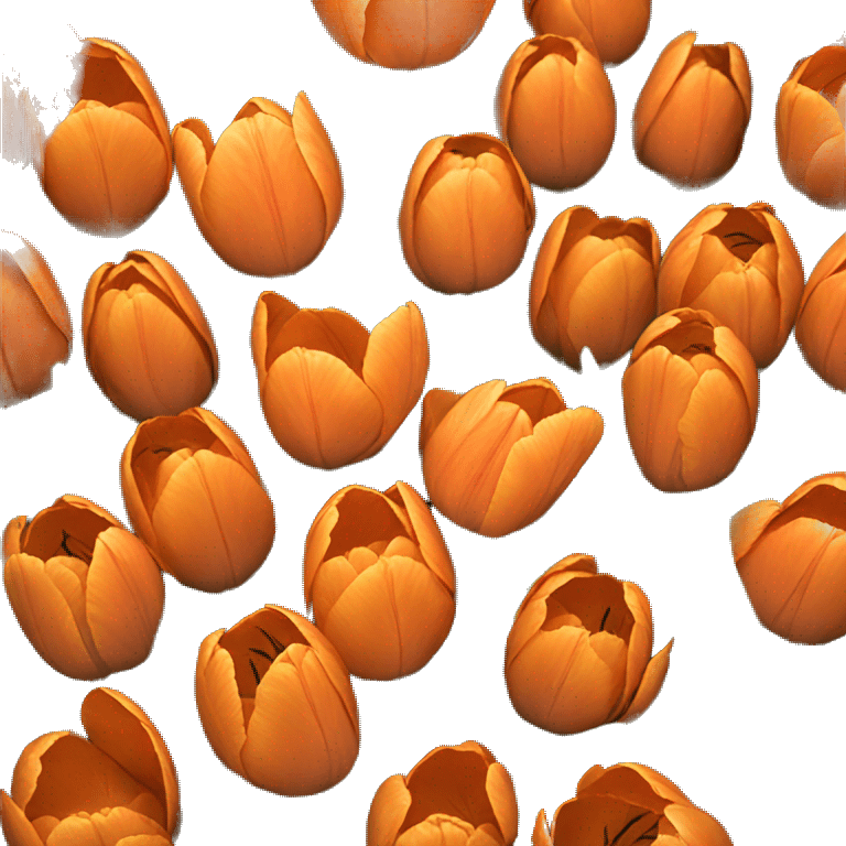 Basket of orange tulips emoji