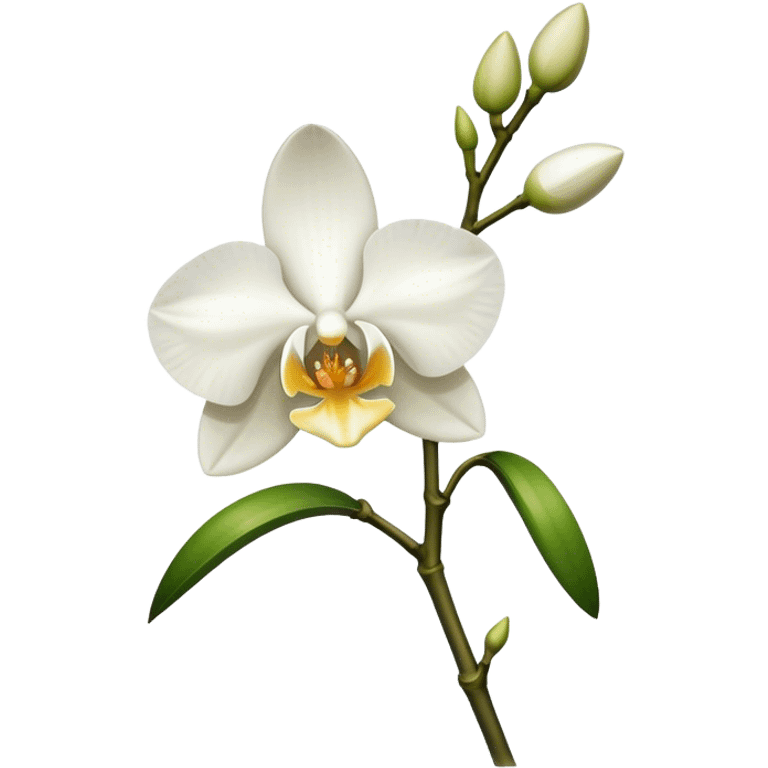 single white Dendrobium Orchid stem emoji