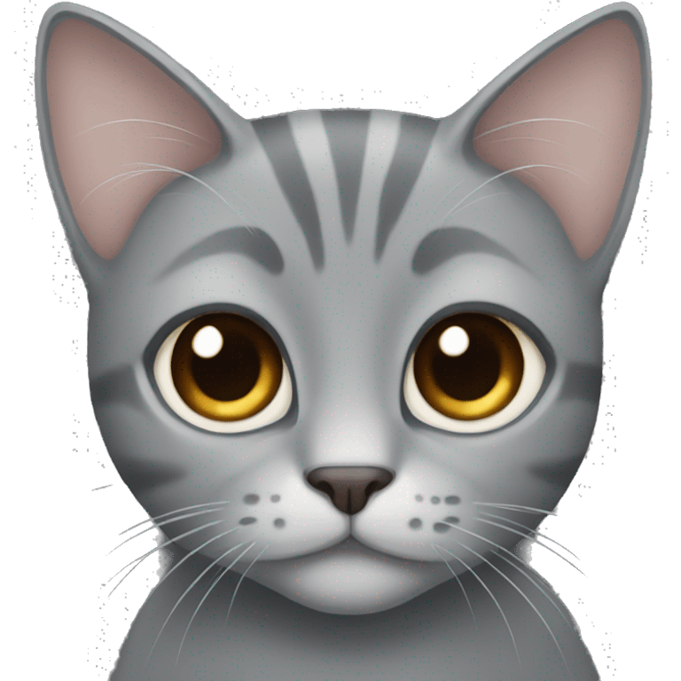 gray cat with brown eyes emoji