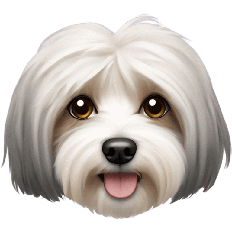 Long haired Havanese show dog emoji