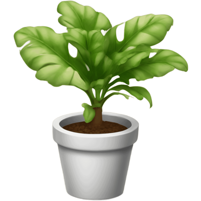 Potted pathos plant emoji