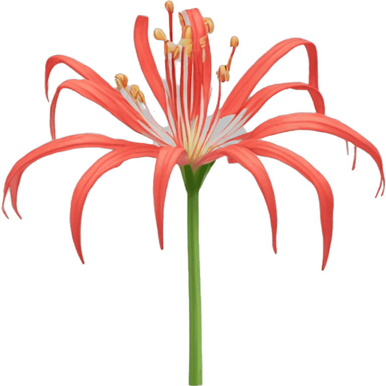 spider lily flowet emoji