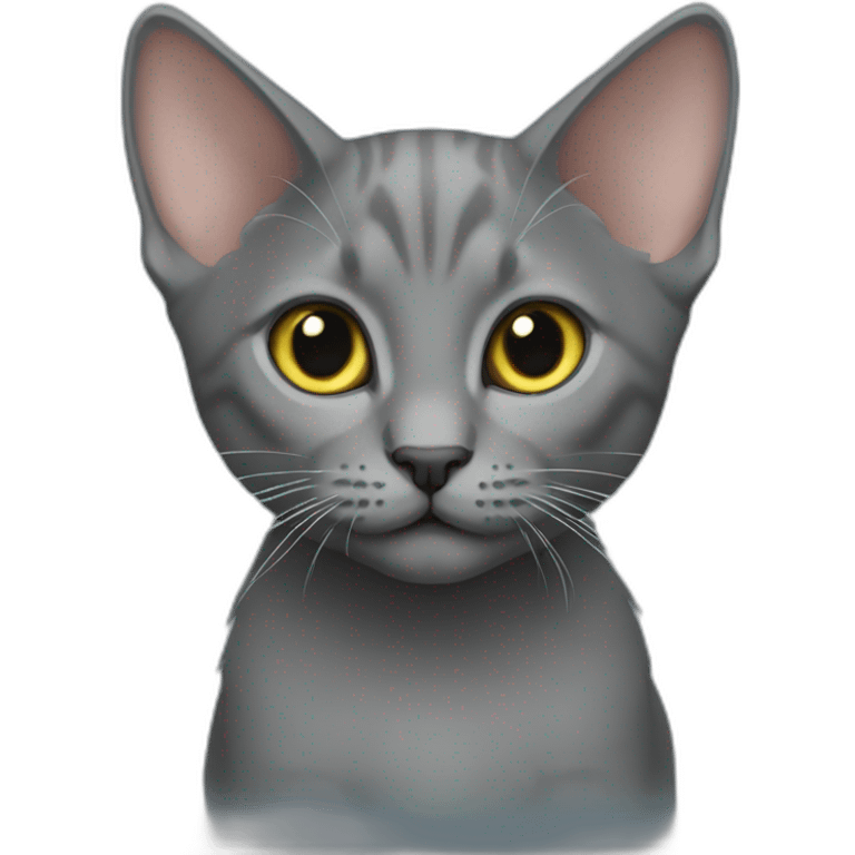 Korat kitten emoji