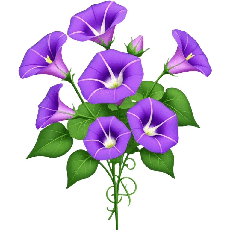 bouquet purple Morning Glorysuper, stem emoji