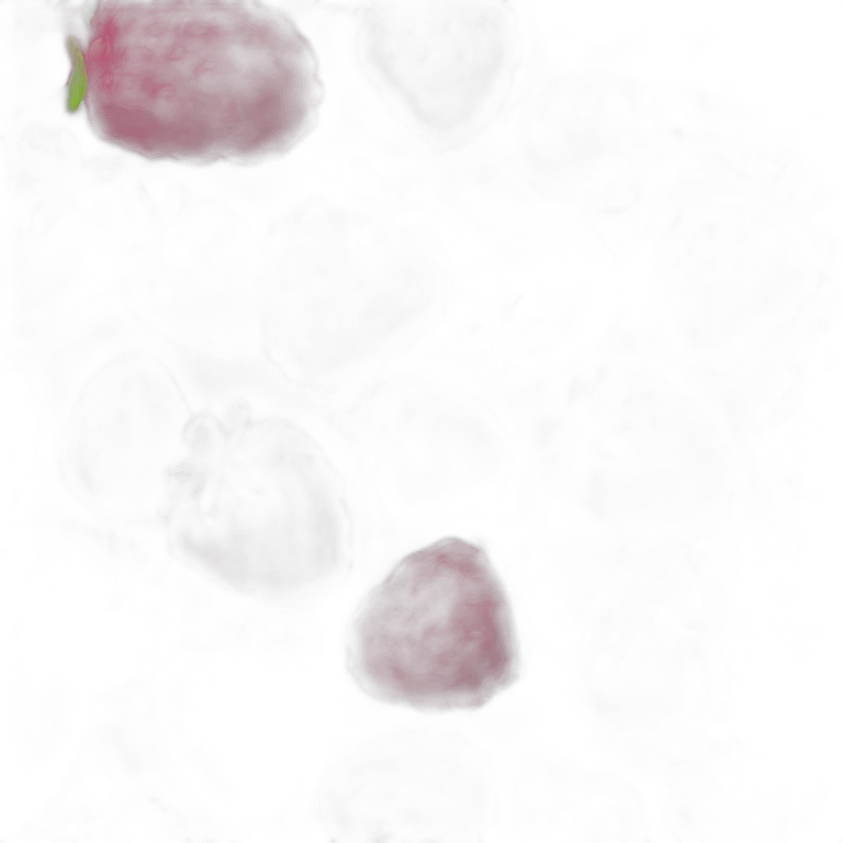 Framboise fruit emoji