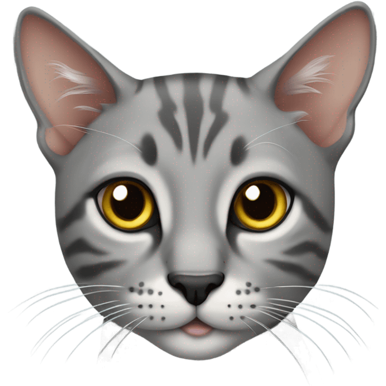 Serengeti cat sitting grey emoji