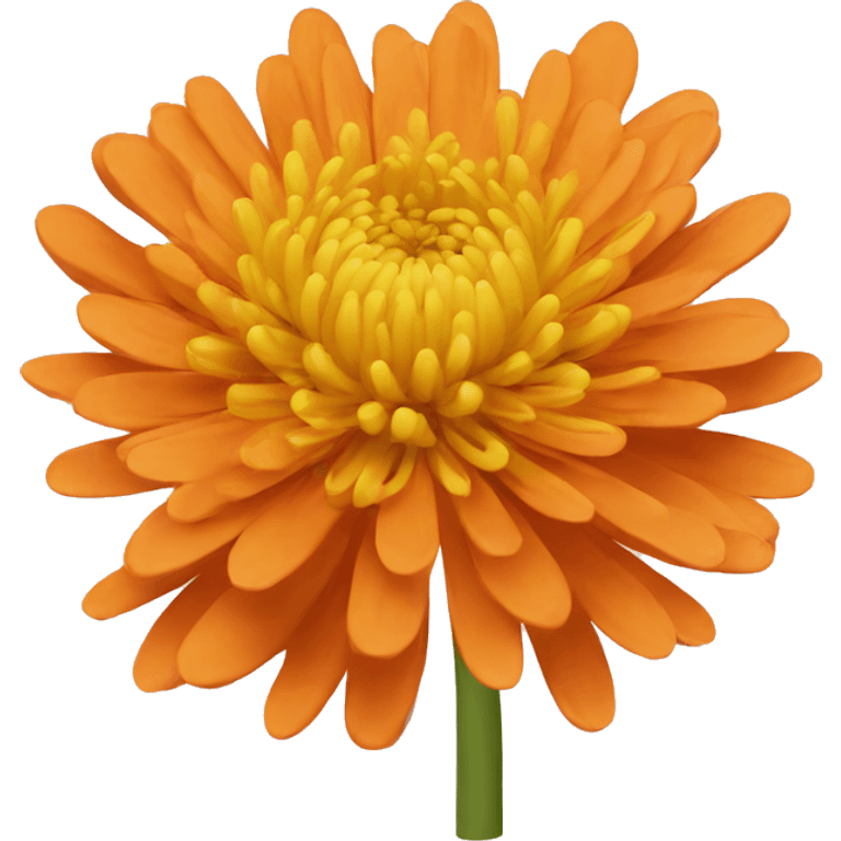 Orange chrysanthemum  emoji