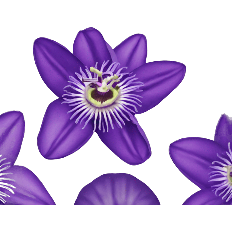 Purple passion flowers  emoji