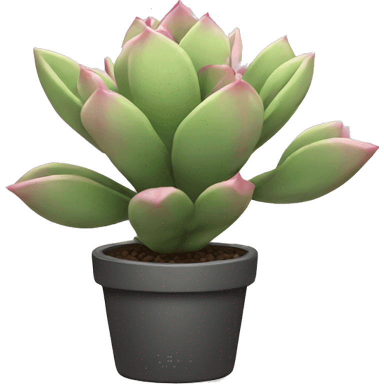 Pink succulent with pretty leaves emoji