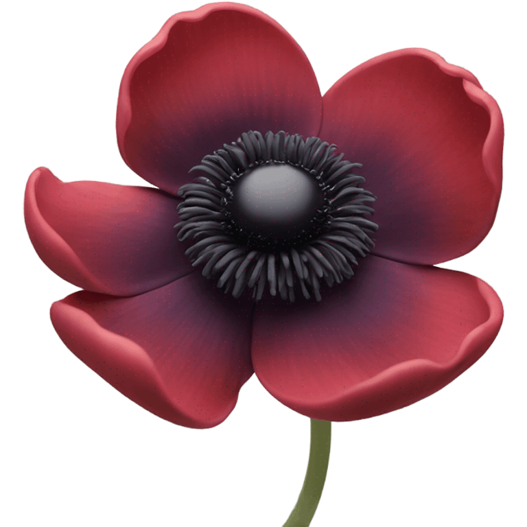 black and red anemone flower emoji