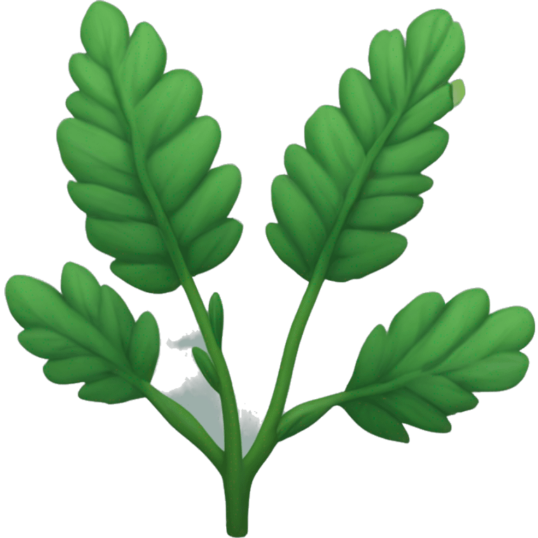 a plant with a thin, slightly hairy green stem and oval, dark green, serrated leaves arranged in opposite pairs along the stem. emoji