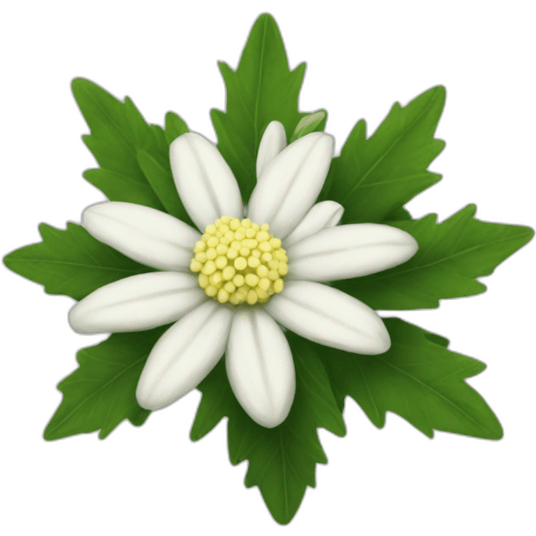 Edelweiss  emoji