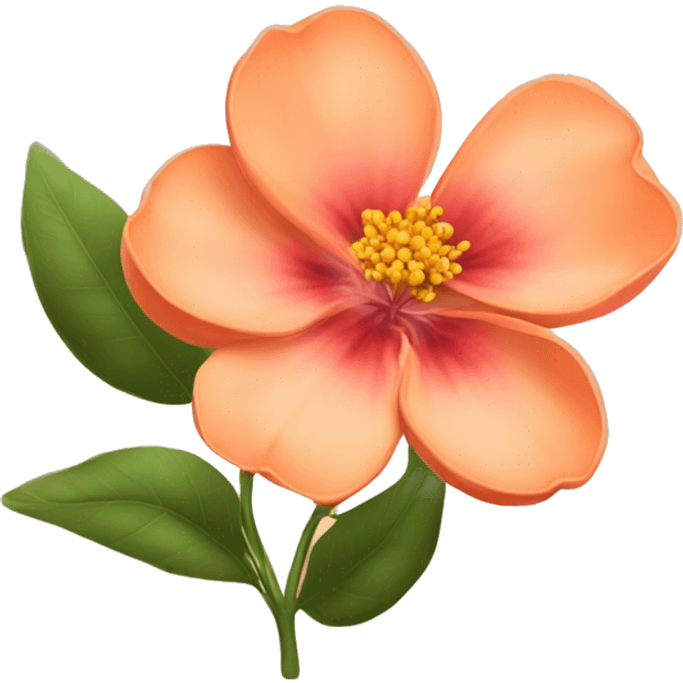 Peach colour Flower 🌹  emoji