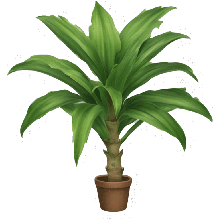 Dracaena trifasciata emoji