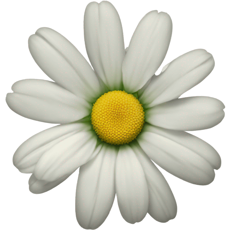 A white daisy 1 petal missing  emoji