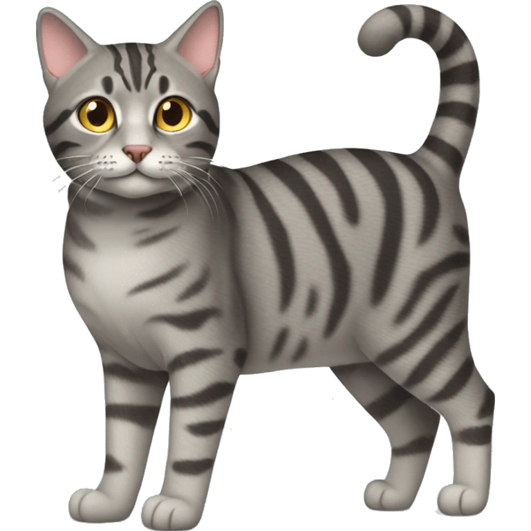 gray tabby cat full length emoji