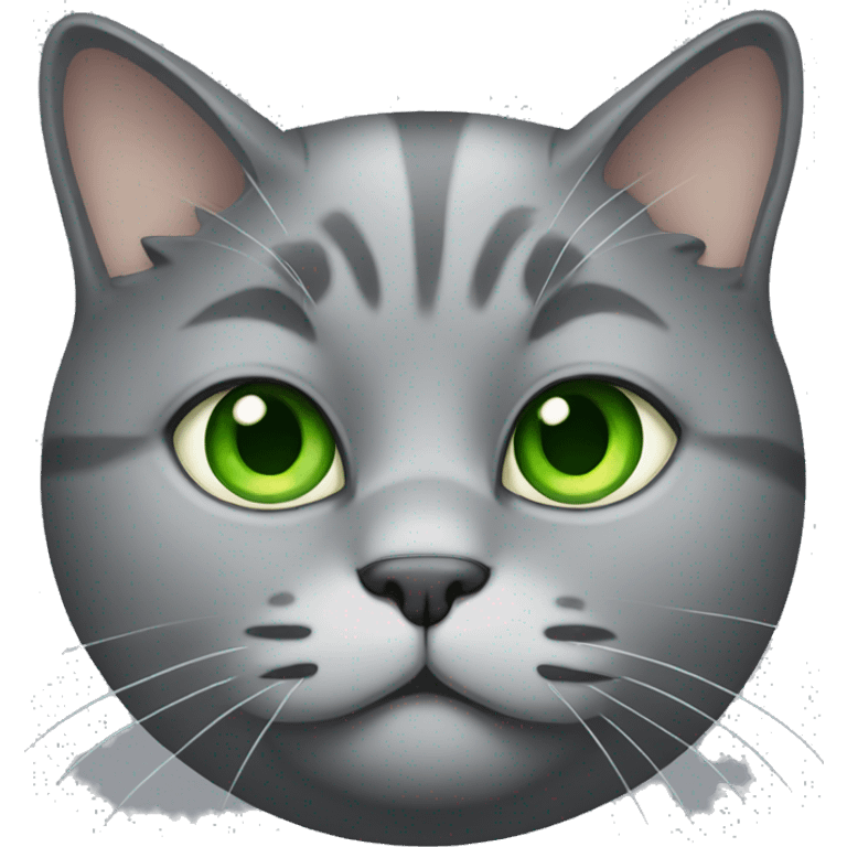 Fat Grey cat with green eyes  emoji