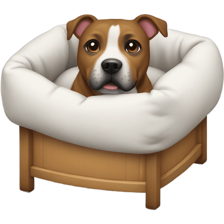 Staffie dog in small bed emoji