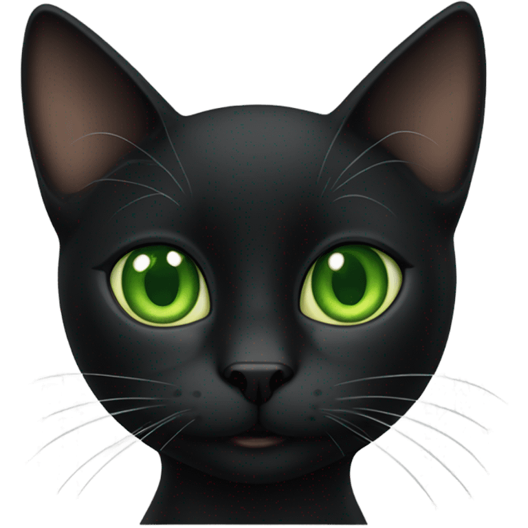 Black Cat named Dewey  emoji