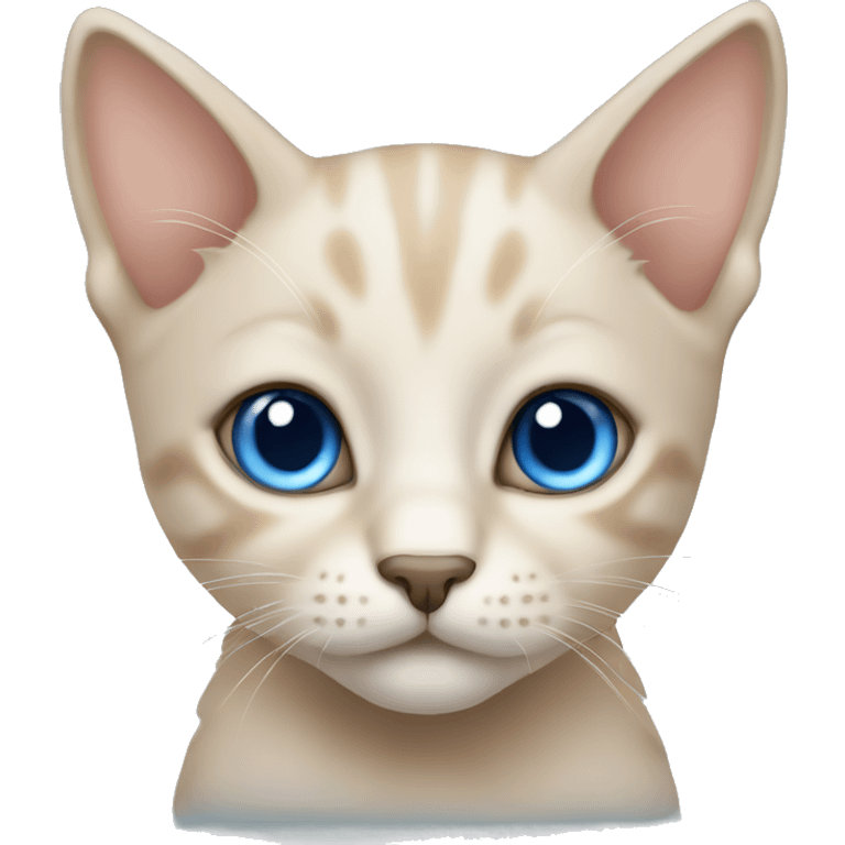 Beige kitten with blue eyes emoji