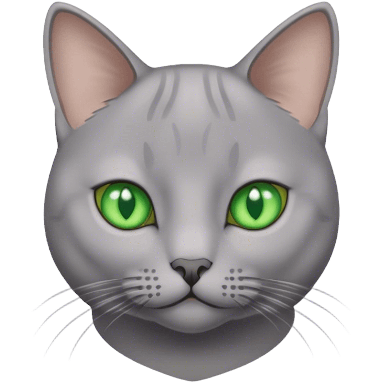 Grey shorthair cat  emoji