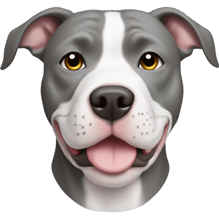 Grey pitbull with white chest emoji