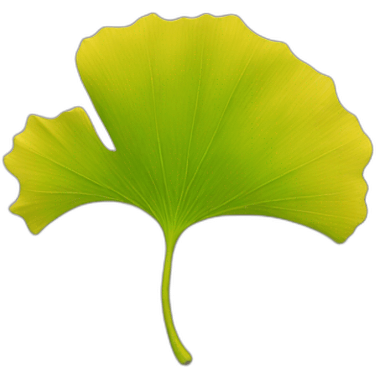 Gingko emoji