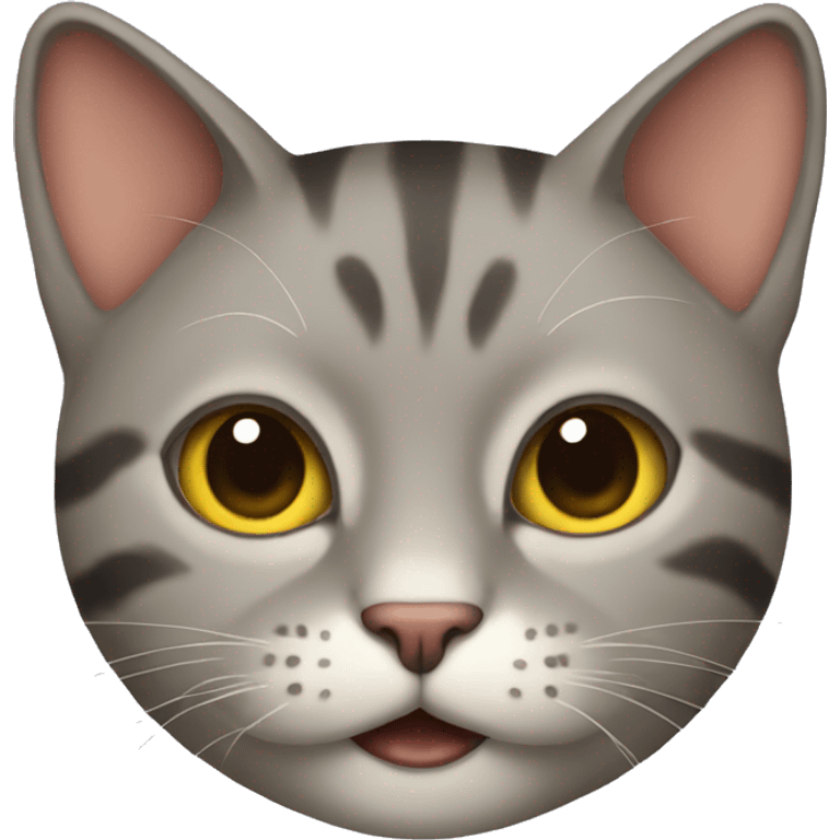 cat funny  emoji