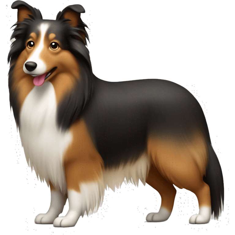 Shetland sheepdog emoji