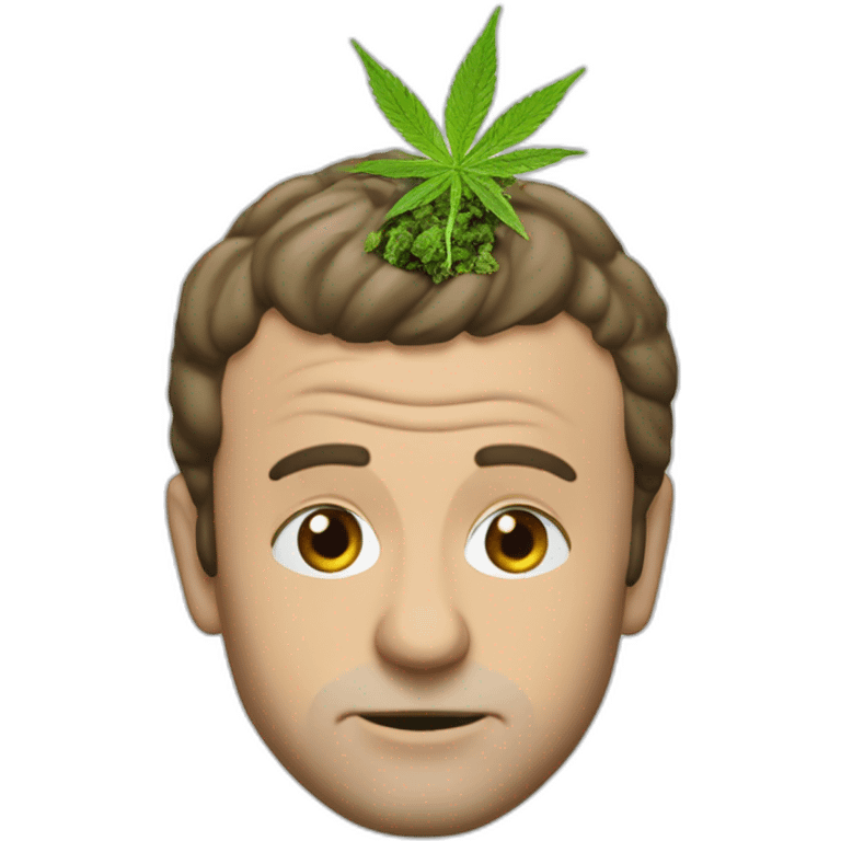 Macron qui fume de la weed emoji