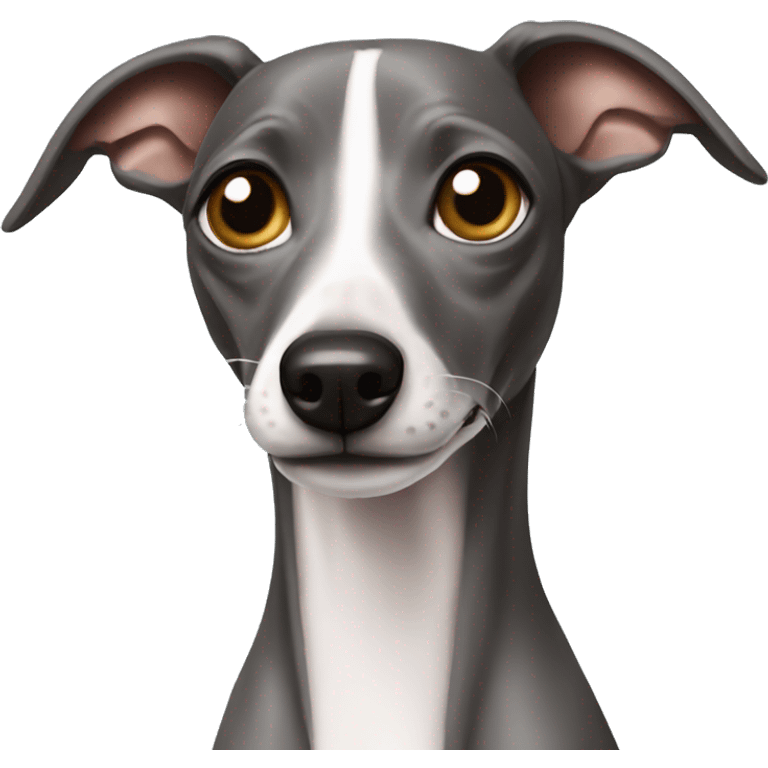 Italian greyhound emoji