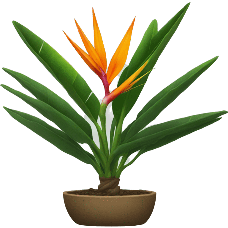 Bird of paradise plant without flowers emoji