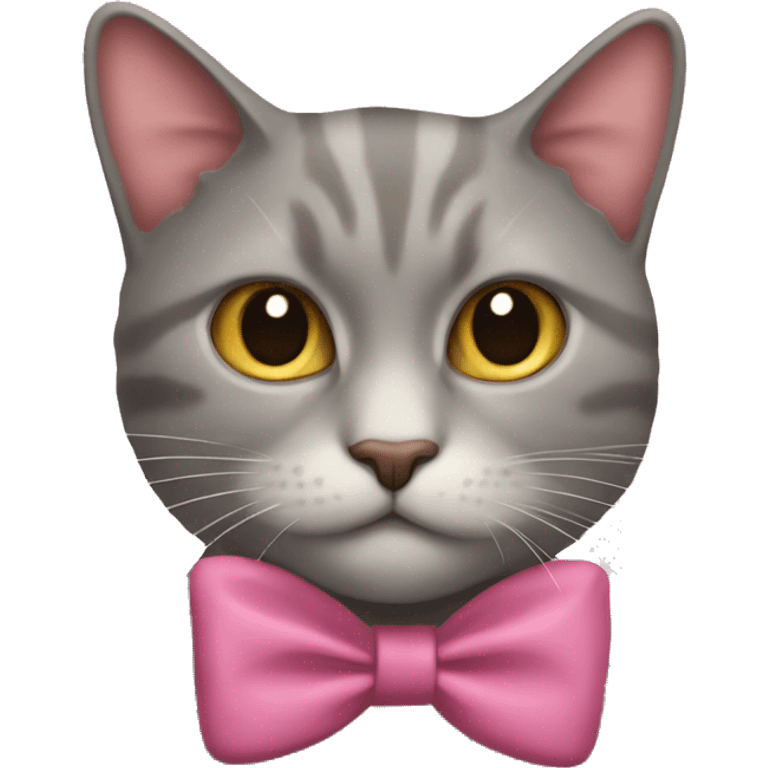 gatto con fiocchetto rosa emoji