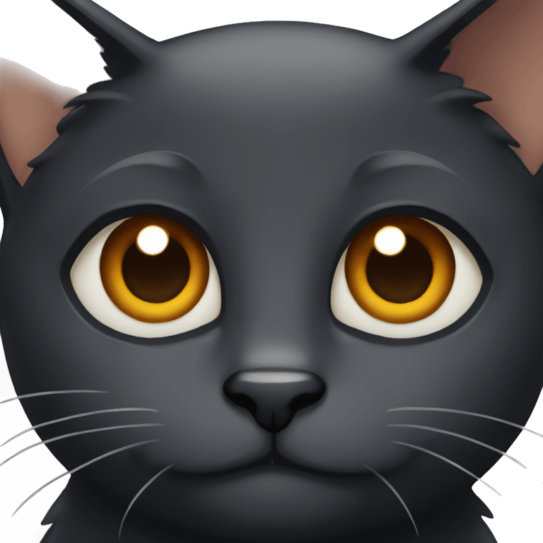 Black cat with brown eyes emoji