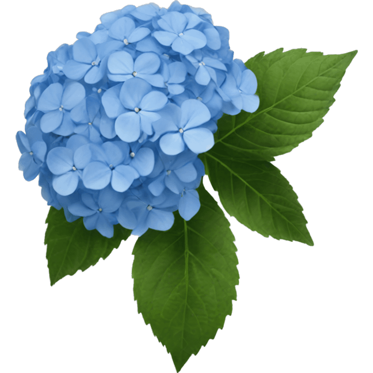 hydrangea blue emoji