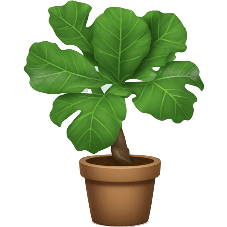 Fiddle leaf tree emoji