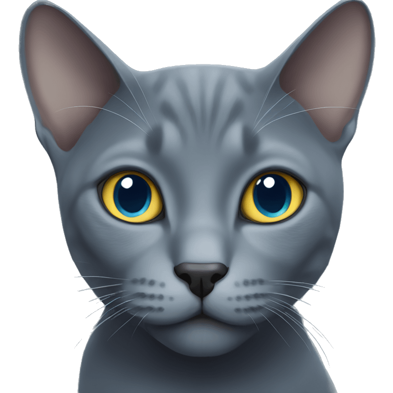 russian blue cat emoji