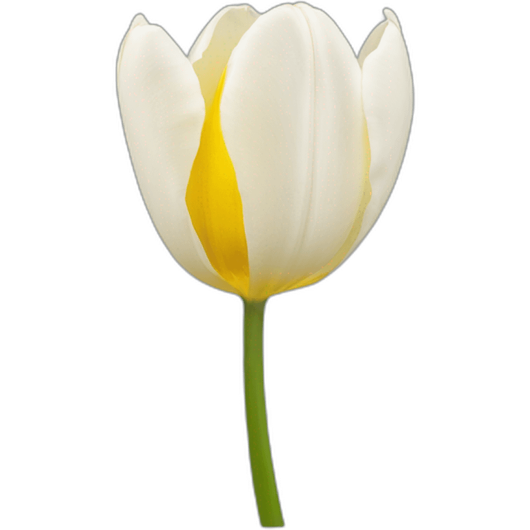 Tulipe blanche  emoji