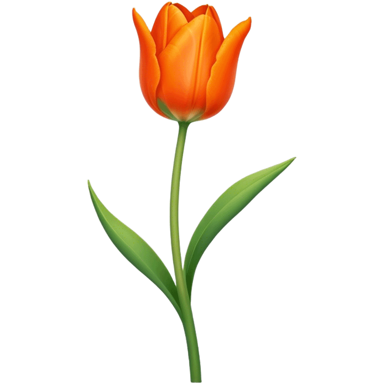 single Orange Tulip, straight stem emoji