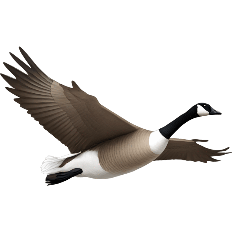 Canadian goose flying emoji