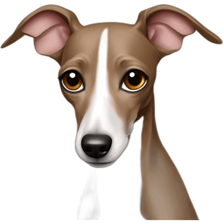 Italian greyhound  emoji