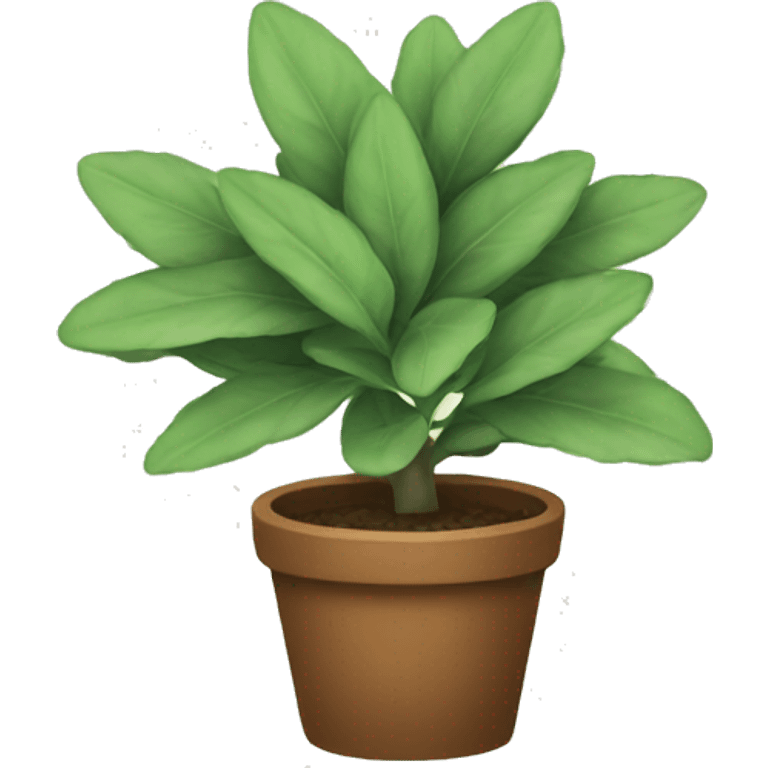 Sage plant emoji