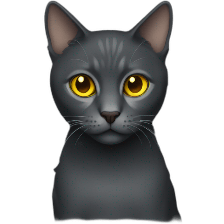 dark gray cat yellow eyes  emoji