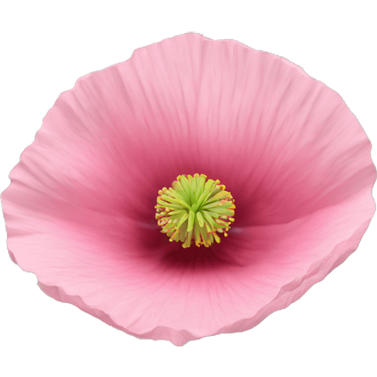 Pink poppy  emoji