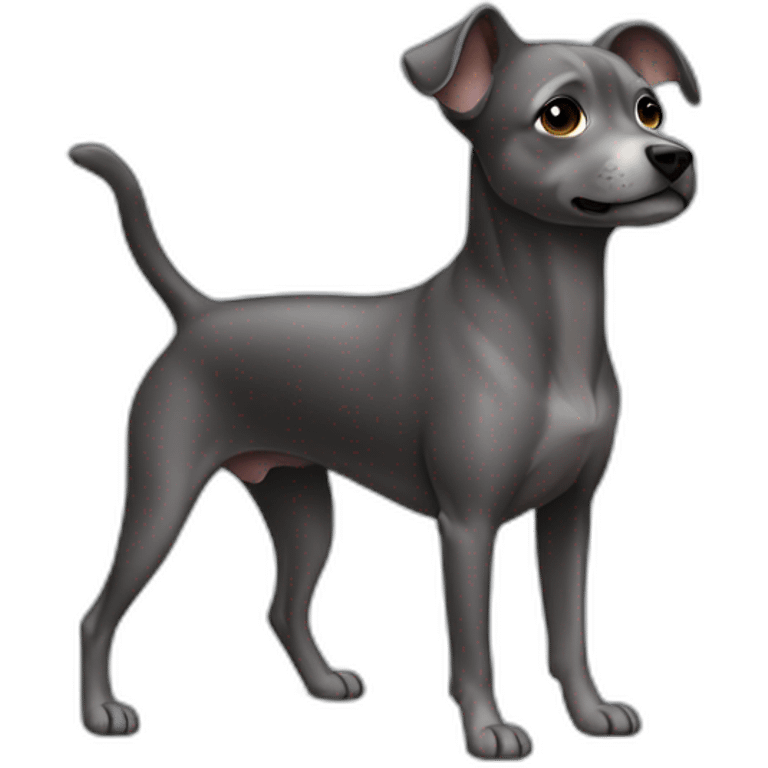 small-dark-grey-dog-standing-on-back-legs emoji