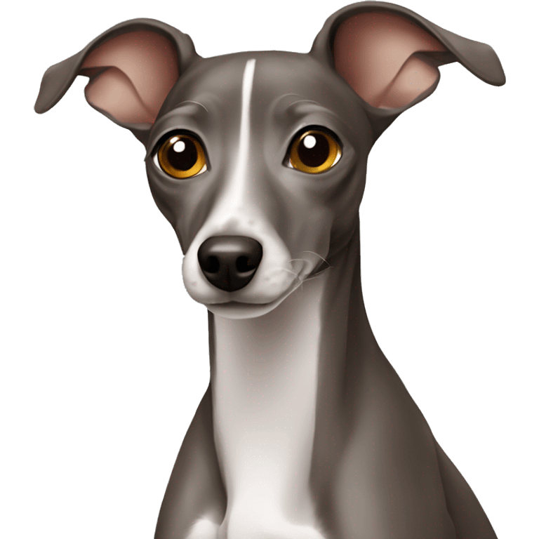 Italian greyhound  emoji