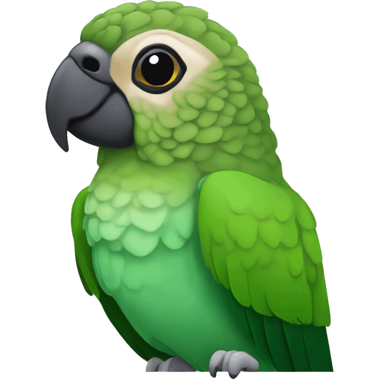 green cheek conure with black head emoji